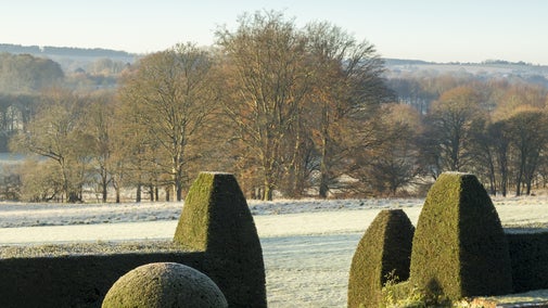 Garden topiary and view over parkland in winter, Hinton Ampner, Hampshire